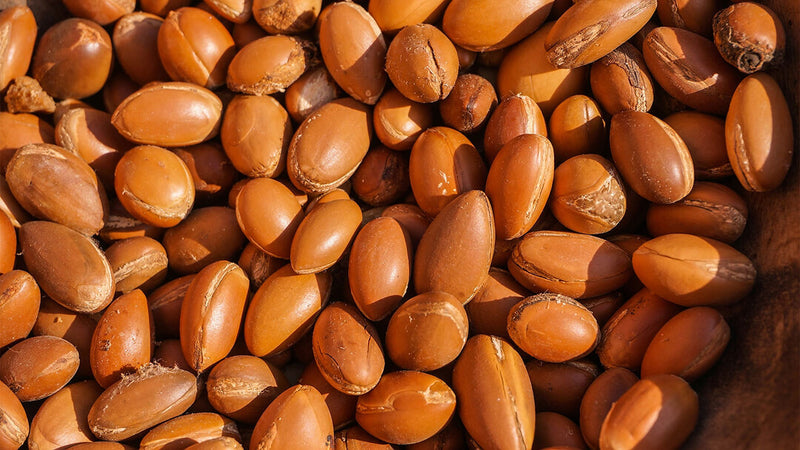 argan oil and argan nuts