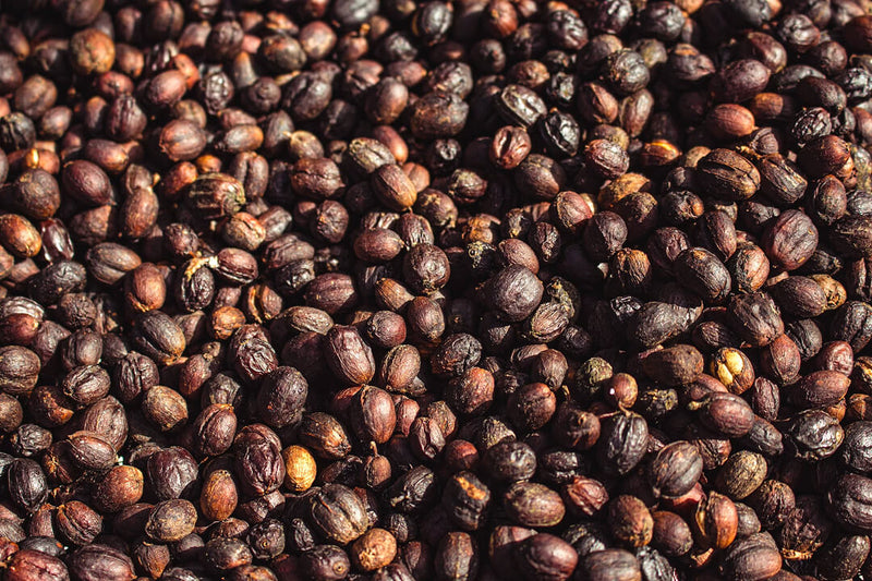 jojoba oil and jojoba seeds